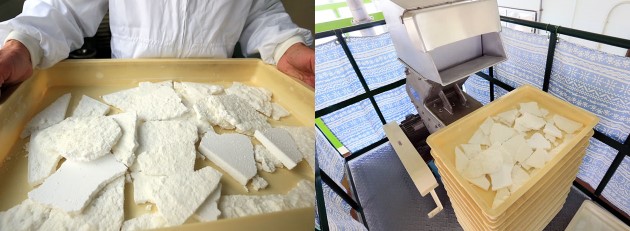 �J���V�E���̐���